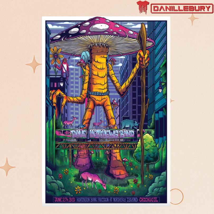 Dave Matthews Band Jun 27 2025 Huntington Bank Pavilion Northerly Island, Chicago IL Poster