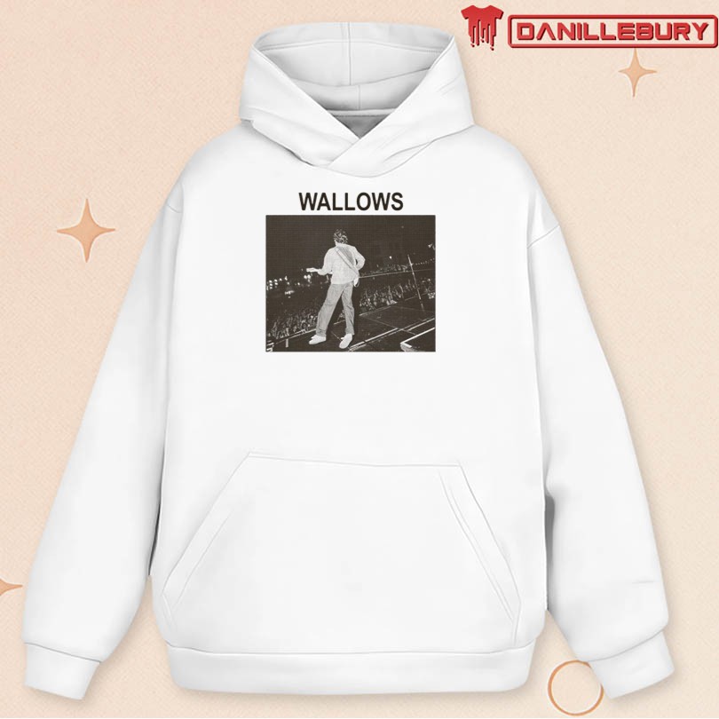 Official Wallows Stage Crowd Photo Merch - Image 2