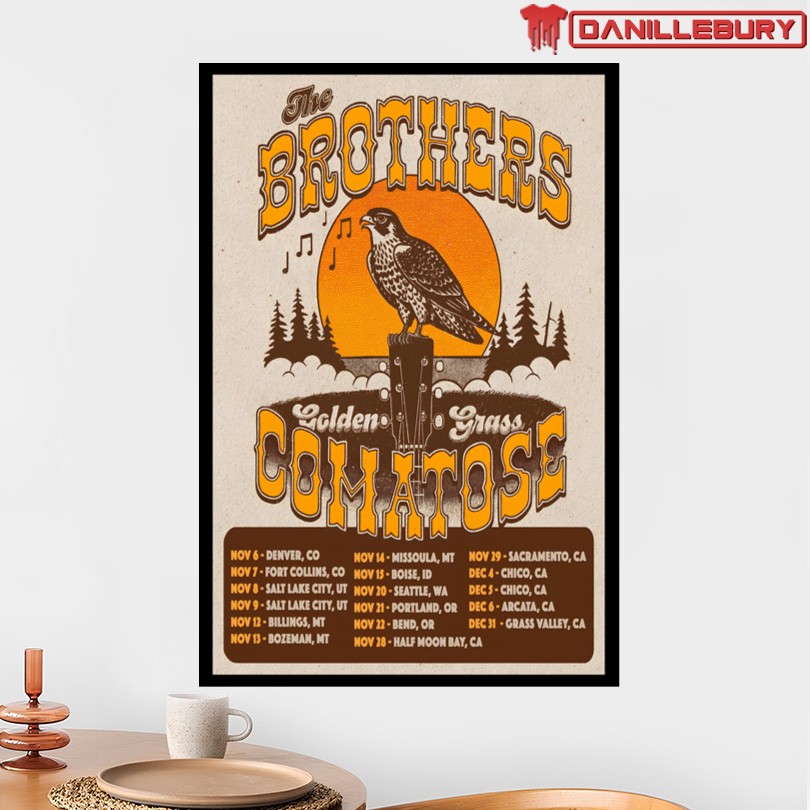 The Brothers Comatose 2025 Tour Poster - Image 2