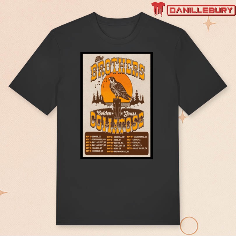 The Brothers Comatose 2025 Tour Poster - Image 3