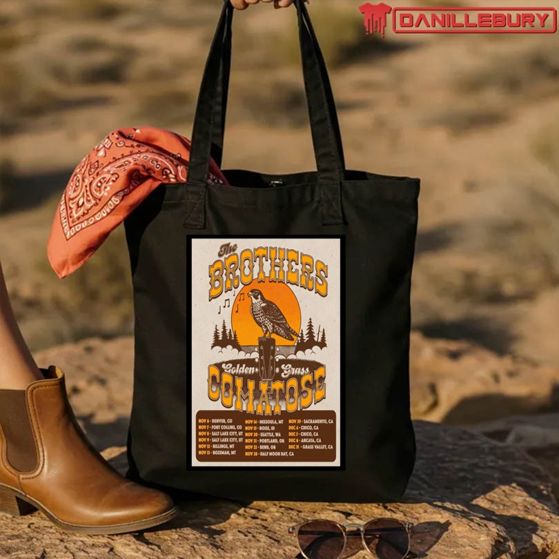 The Brothers Comatose 2025 Tour Poster - Image 4