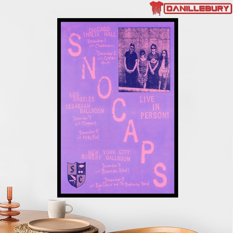 Waxahatchee December 2025 Chicago LA & NYC Tour Poster - Image 2