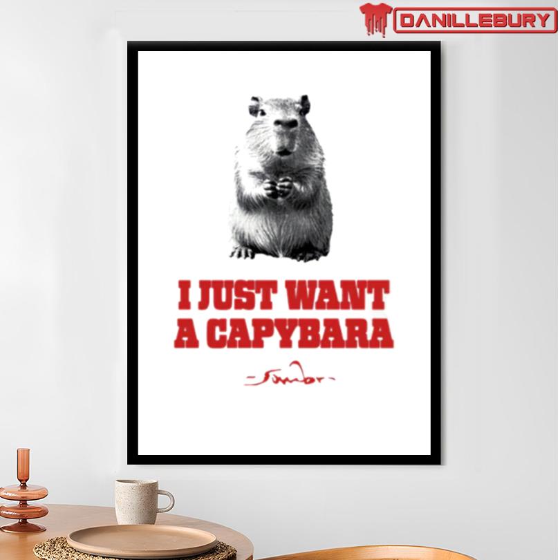 Sombr I Just Want A Capybara Tee - Image 3